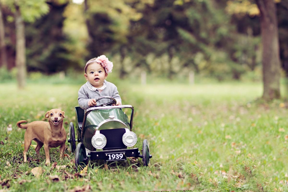 kleines Maedchen faehrt ein Spielzeugauto und ein Hund posiert waehrend eines Outdoor Fotoshootings Carmen Bergmann
